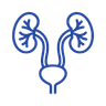 Renal y Vías Urinarias